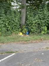 Bild zu gemeldetem Anliegen vom *2025-07-13 09:30:40