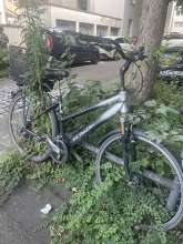 Bild zu gemeldetem Anliegen vom *2025-07-13 15:28:51