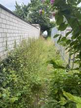 Bild zu gemeldetem Anliegen vom *2025-07-14 12:32:22