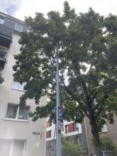 Bild zu gemeldetem Anliegen vom *2025-07-16 09:32:51