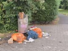 Bild zu gemeldetem Anliegen vom *2025-07-15 18:31:53