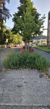Bild zu gemeldetem Anliegen vom *2025-08-17 08:53:13