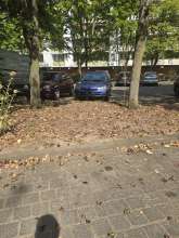 Bild zu gemeldetem Anliegen vom *2025-08-20 12:33:47