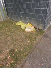 Bild zu gemeldetem Anliegen vom *2025-08-21 10:03:52