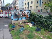 Bild zu gemeldetem Anliegen vom *2025-08-03 12:31:15