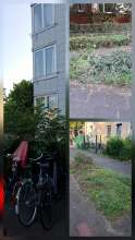 Bild zu gemeldetem Anliegen vom *2025-08-12 19:15:14