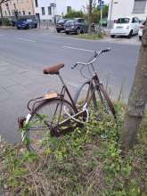 Bild zu gemeldetem Anliegen vom *2025-08-23 09:28:03