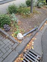 Bild zu gemeldetem Anliegen vom *2025-08-30 15:16:30