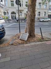 Bild zu gemeldetem Anliegen vom *2025-08-30 15:30:16