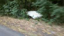 Bild zu gemeldetem Anliegen vom *2025-08-27 06:28:32