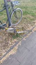 Bild zu gemeldetem Anliegen vom *2025-08-20 15:28:31