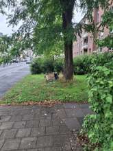 Bild zu gemeldetem Anliegen vom *2025-08-01 06:31:45