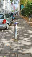 Bild zu gemeldetem Anliegen vom *2025-08-30 09:31:58