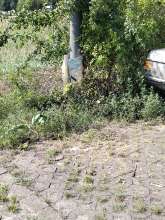 Bild zu gemeldetem Anliegen vom *2025-08-16 19:30:06