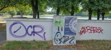 Bild zu gemeldetem Anliegen vom *2025-08-25 15:32:09