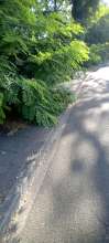 Bild zu gemeldetem Anliegen vom *2025-08-27 12:28:03