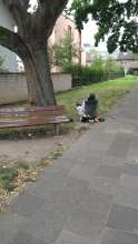 Bild zu gemeldetem Anliegen vom *2025-08-20 12:33:47
