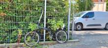 Bild zu gemeldetem Anliegen vom *2025-08-18 09:27:43