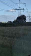 Bild zu gemeldetem Anliegen vom *2025-08-23 20:54:33