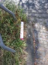 Bild zu gemeldetem Anliegen vom *2025-08-21 13:42:59