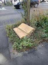 Bild zu gemeldetem Anliegen vom *2025-08-21 12:50:56