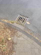 Bild zu gemeldetem Anliegen vom *2025-08-23 19:51:12