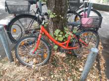 Bild zu gemeldetem Anliegen vom *2025-08-26 13:26:40