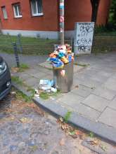 Bild zu gemeldetem Anliegen vom *2025-08-31 09:35:38