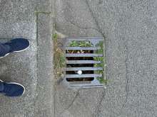 Bild zu gemeldetem Anliegen vom *2025-08-20 12:54:33