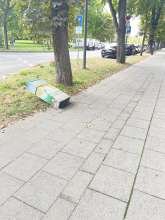 Bild zu gemeldetem Anliegen vom *2025-08-22 15:32:04