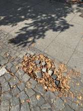 Bild zu gemeldetem Anliegen vom *2025-08-24 15:28:36