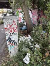 Bild zu gemeldetem Anliegen vom *2025-08-21 14:04:14