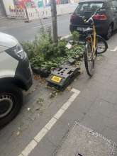 Bild zu gemeldetem Anliegen vom *2025-08-20 13:11:07