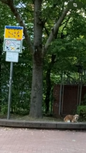 Bitte Spielplatz 1010609 vor Hundekot schützen 