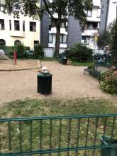 Bild zu gemeldetem Anliegen vom *2025-08-30 06:32:58