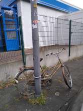 Bild zu gemeldetem Anliegen vom *2025-08-24 06:31:26