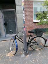 Bild zu gemeldetem Anliegen vom *2025-08-24 12:29:43