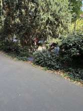 Bild zu gemeldetem Anliegen vom *2025-08-21 09:32:29