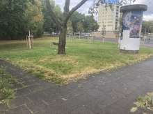 Bild zu gemeldetem Anliegen vom *2025-08-30 12:31:07
