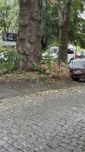 Bild zu gemeldetem Anliegen vom *2025-08-29 12:28:17