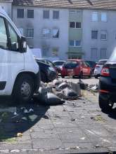 Bild zu gemeldetem Anliegen vom *2025-08-21 14:12:59