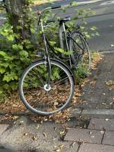 Bild zu gemeldetem Anliegen vom *2025-08-29 08:42:36
