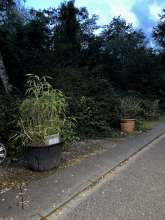 Bild zu gemeldetem Anliegen vom *2025-08-31 18:29:06