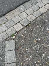 Bild zu gemeldetem Anliegen vom *2025-08-27 10:59:28
