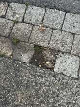 Bild zu gemeldetem Anliegen vom *2025-08-27 23:56:48