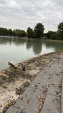 Bild zu gemeldetem Anliegen vom *2025-08-28 06:31:18