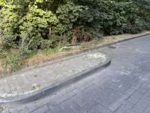Bild zu gemeldetem Anliegen vom *2025-08-27 21:29:36