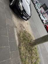 Bild zu gemeldetem Anliegen vom *2025-08-17 15:43:15