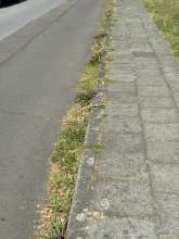Bild zu gemeldetem Anliegen vom *2025-08-26 13:42:43