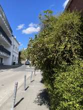 Bild zu gemeldetem Anliegen vom *2025-08-29 18:31:45